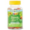 Spring Valley Kids' Probiotic + Prebiotic Vegetarian Gummies; 60 Count